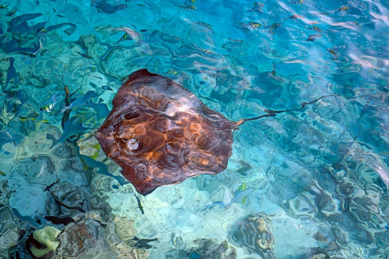 Ocean Village Maldives Holhudhoo Εξωτερικό φωτογραφία