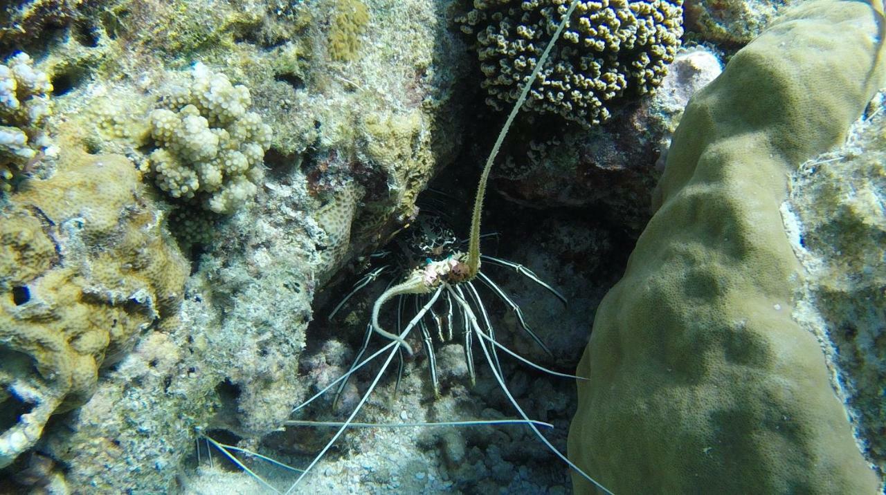 Ocean Village Maldives Holhudhoo Εξωτερικό φωτογραφία