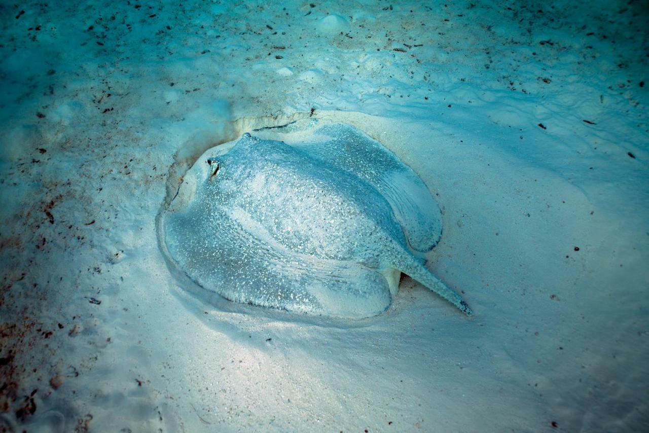 Ocean Village Maldives Holhudhoo Εξωτερικό φωτογραφία