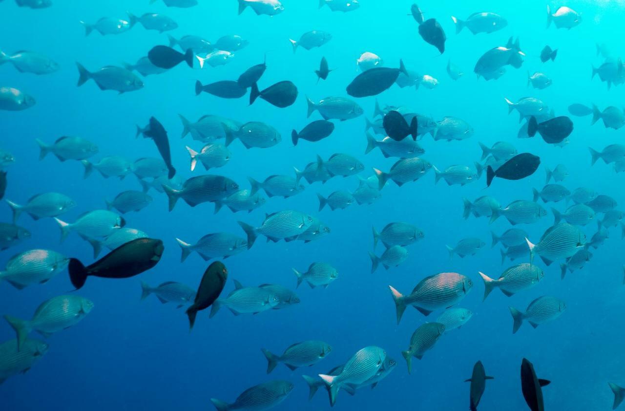 Ocean Village Maldives Holhudhoo Εξωτερικό φωτογραφία